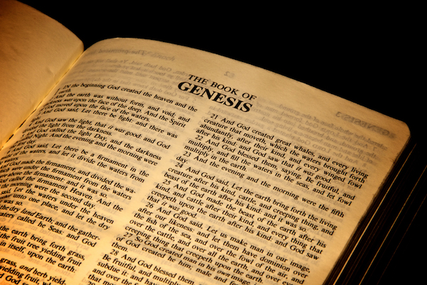 the word serve against concrete